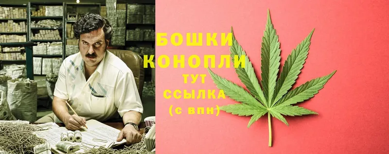 Канабис Bruce Banner  Оса 